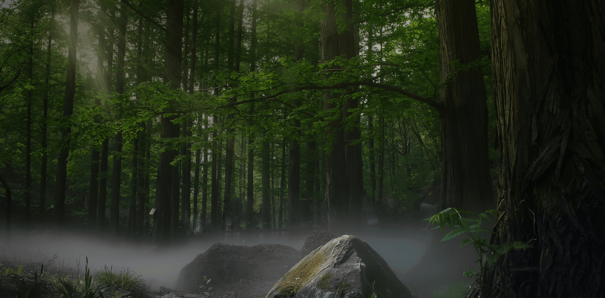 UnWood™ - The look of nature, without the guilt. 